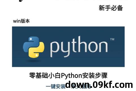 Python下载视频教程的指导介绍