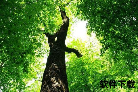 Green安卓版下载-官方正版绿色安全应用一键安装