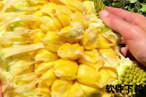 菠萝蜜App下载,畅享便捷生活菠萝蜜App官方下载安装指南与最新版本获取攻略