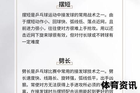 乒乓球单人训练全攻略：掌握核心技巧与高效提升方法