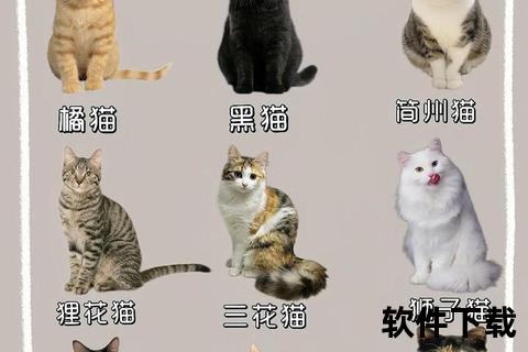 猫咪下载地址
