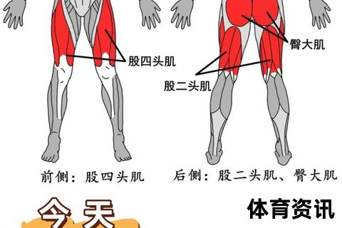 腿部力量提升指南：科学训练+有效动作全解析