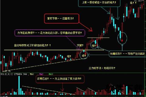 证券分析数据下载指南_高效获取方法与实战技巧解析