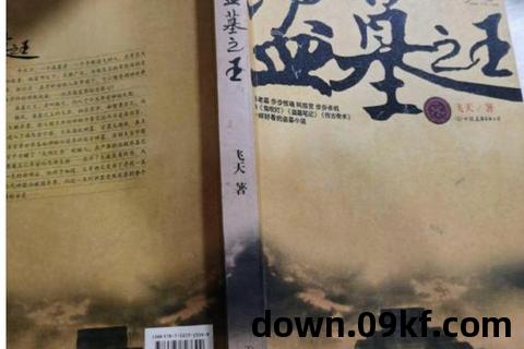 盗墓之王txt下载