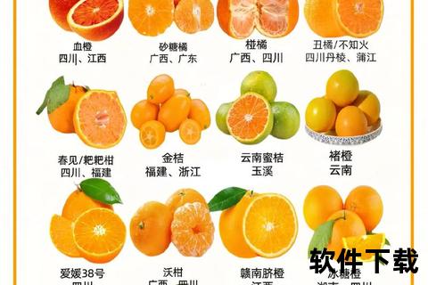 橘子收藏教程下载指南：完整步骤与技巧分享