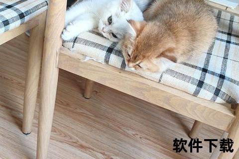 猫咪下载安装，睡着的小猫咪下载安装