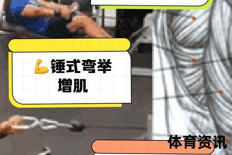 上肢力量强化训练：提升肌肉耐力与爆发力的关键步骤