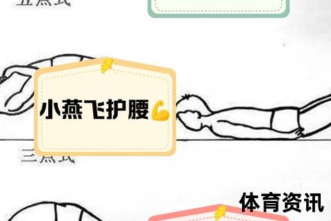 腰部力量强化指南：科学训练方法与实用动作解析