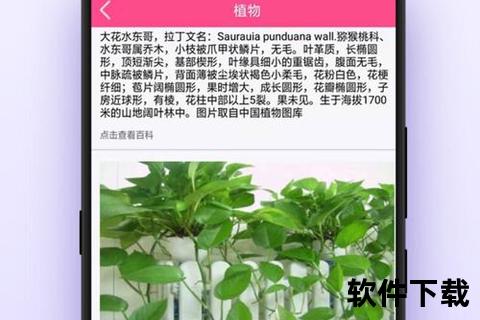 植物识别app官方下载，识别植物的app排行