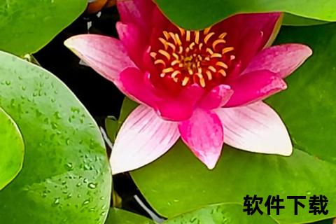 荷花阿姨视频免费下载_高清无水印资源一站获取