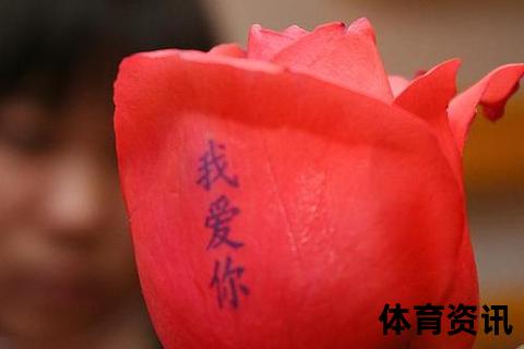 五朵玫瑰的浪漫密语：无怨无悔的爱与真挚承诺