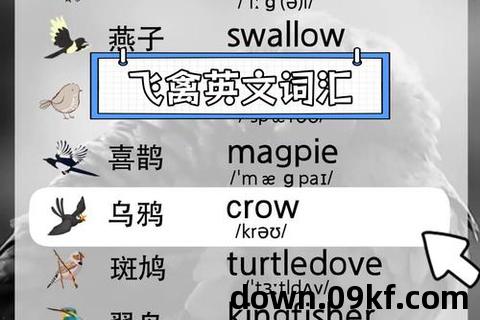 飞禽走兽手机版下载