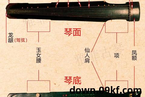 古琴教程下载