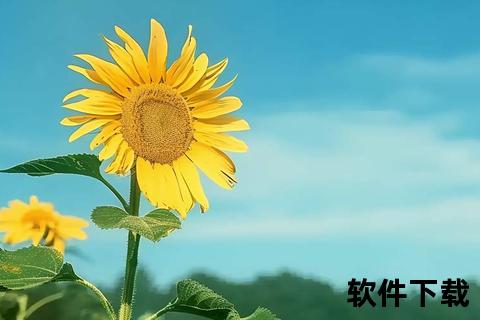 向日葵免费下载_安全便捷获取正版软件的绿色通道