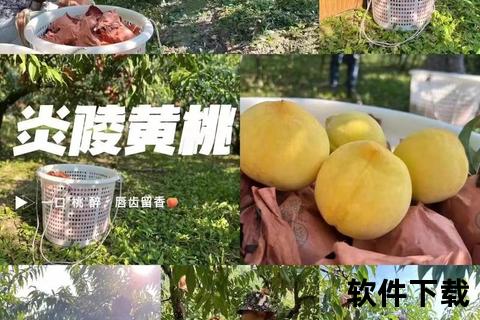 黄桃直播app下载-黄桃直播APP一键下载畅享高清直播海量主播在线互动新体验