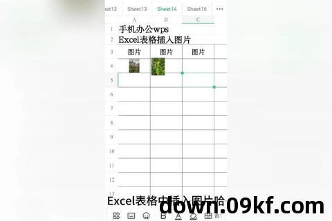 excel表格的基本操作视频教程下载