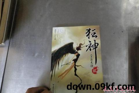 狂神小说下载