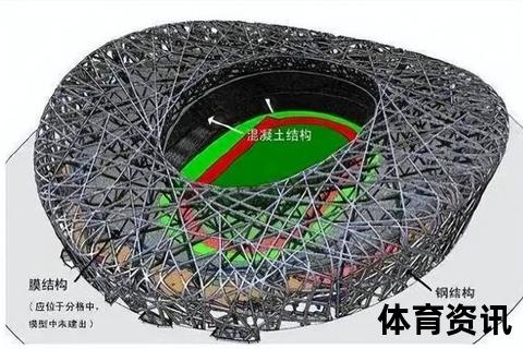 鸟巢容量全解析：奥运主会场万人承载与空间设计奥秘