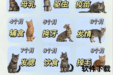猫咪下载安装教程：一键获取萌宠助手_详细步骤与常见问题解答