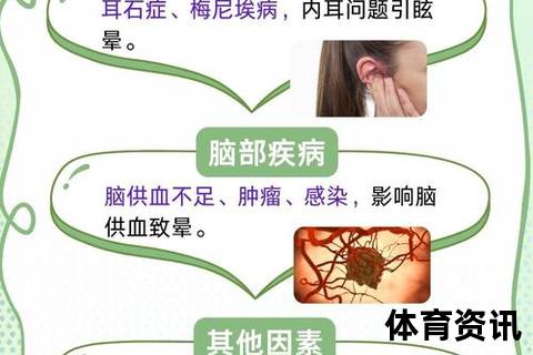 击打下颌致晕机制解析：神经反射与脑震荡的双重作用