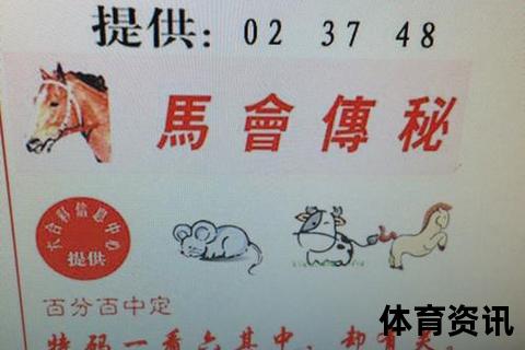 月沉三七探秘：生肖谜题与数字玄机之解