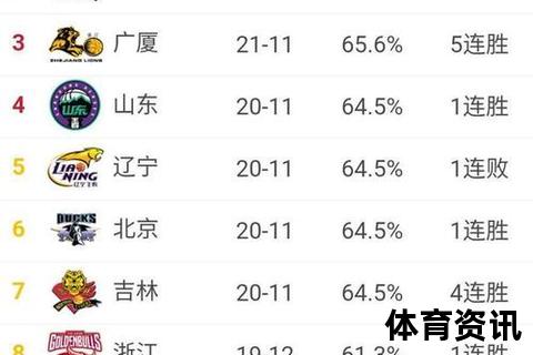 CBA球队数量揭秘：当前联赛共有多少支参赛队伍？
