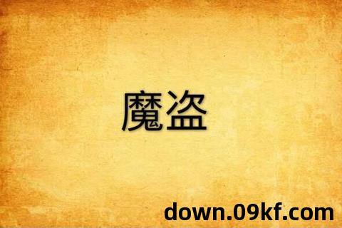 魔盗txt下载