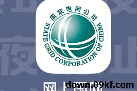 网上国网app下载
