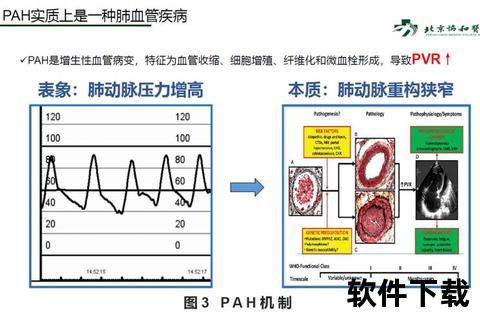 新濠下载全流程解析：高效安全指南与操作技巧分享