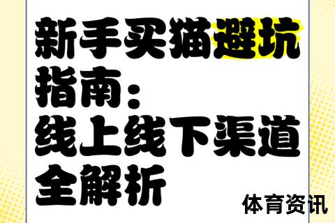 北京单场哪里买：线上与线下购买渠道全指南