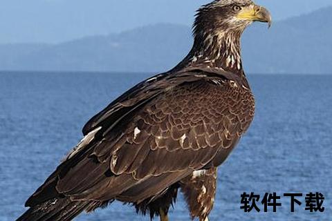 eagle破解版下载，eagle手机下载