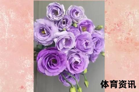 红蓝交融的视觉密码：探秘紫色诞生的色彩奥秘