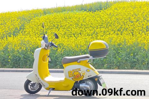 电驴免费下载