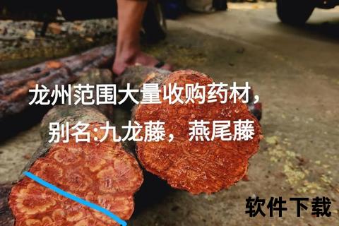 采药高清视频下载攻略_资源获取技巧与步骤详解 采药高清视频下载攻略_资源获取技巧与步骤详解