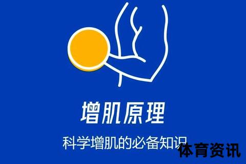 肌肉激活原理与实践指南-科学提升运动效能的训练策略解析
