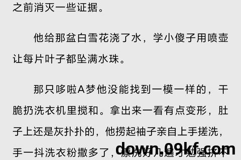 少年阿宾全文txt下载