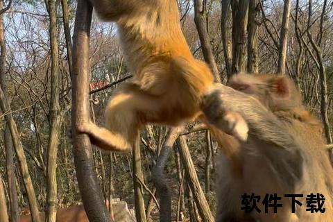 顽猴逗趣合集：搞笑瞬间视频下载_萌态百出短片资源