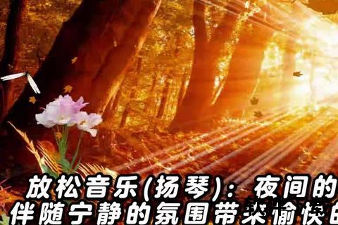 宁静旋律随心载_轻音乐免费下载精选合集