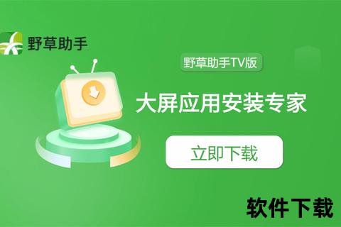 TV软件下载指南：智能电视应用获取与安装教程