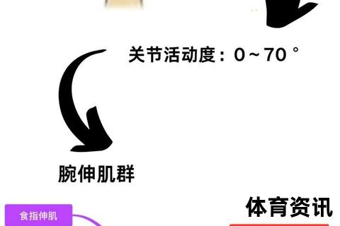 腕力强化训练指南-10个高效动作提升握力与手臂力量