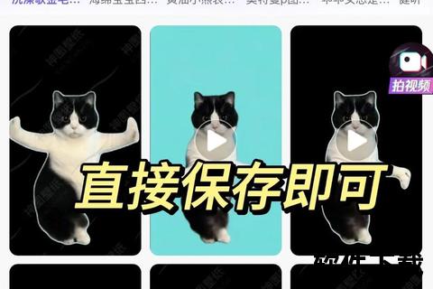 跳舞猫小游戏下载_魔性节奏猫咪舞蹈游戏-安卓iOS免费安装