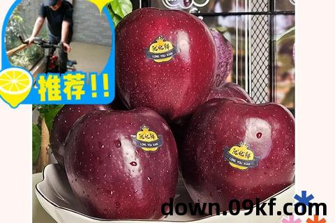 黑苹果 下载