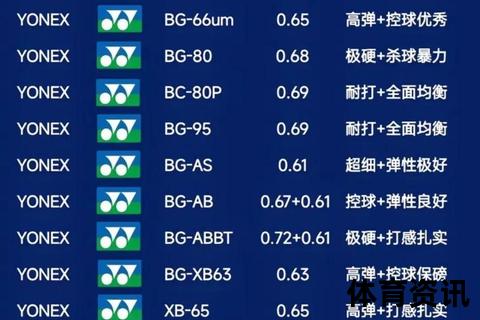 羽毛球拍穿线多少钱一次_专业穿线服务价格解析及影响因素说明