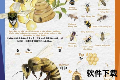 蜜蜂与蜜源培育指南_我的世界自动化养殖及红石联动技巧