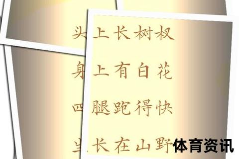 晃动之谜：探究物体摇摆背后的关键密码与生活启示