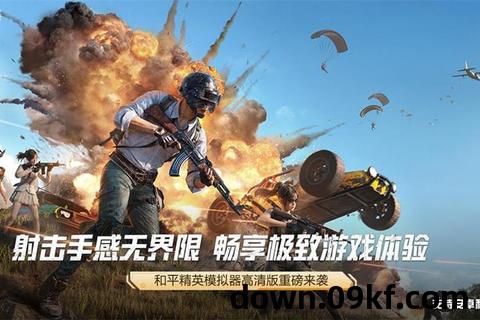 和平精英下载安装游戏