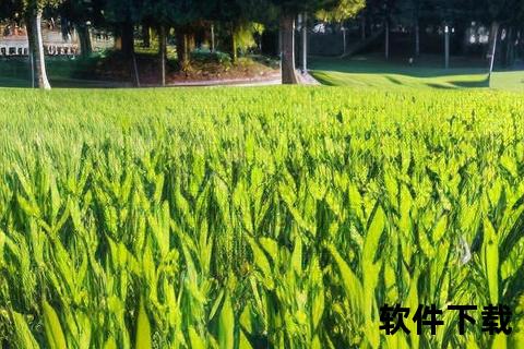 小草壁纸专属下载-自然清新手机桌面背景素材合集