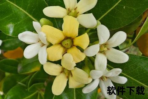 海桐app下载：智能生活的好帮手