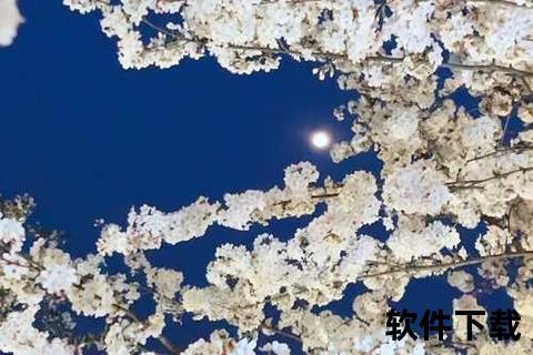 樱花视频下载APP_高清资源一键缓存工具-手机版免费安装