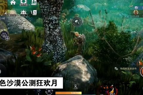 黑色沙漠下载教程：PC与移动端安装步骤及注意事项